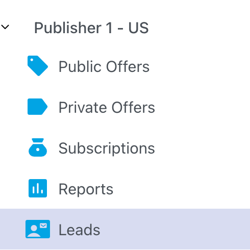 Accessing leads in AMPup